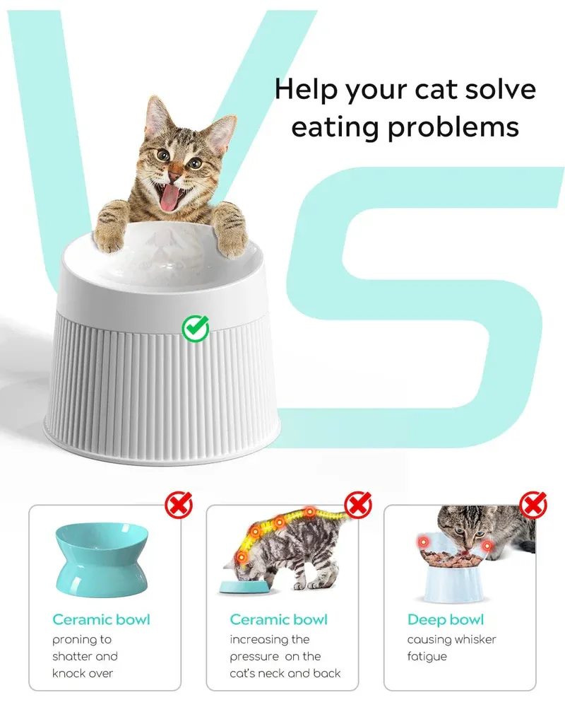 Ideal cat feeding combination (water fountain   Elevated Cat Bowls)