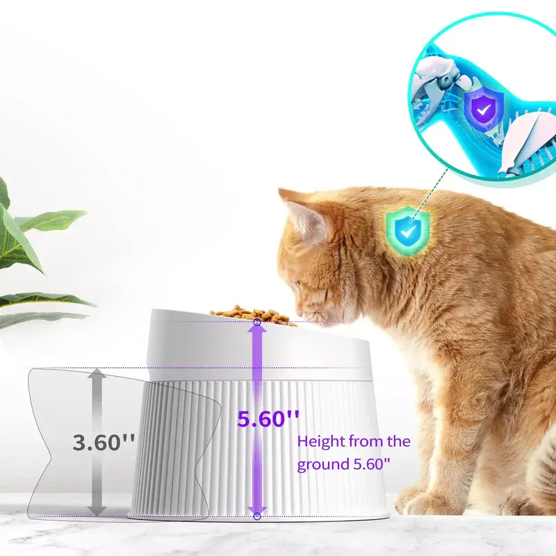 Ideal cat feeding combination (water fountain   Elevated Cat Bowls)