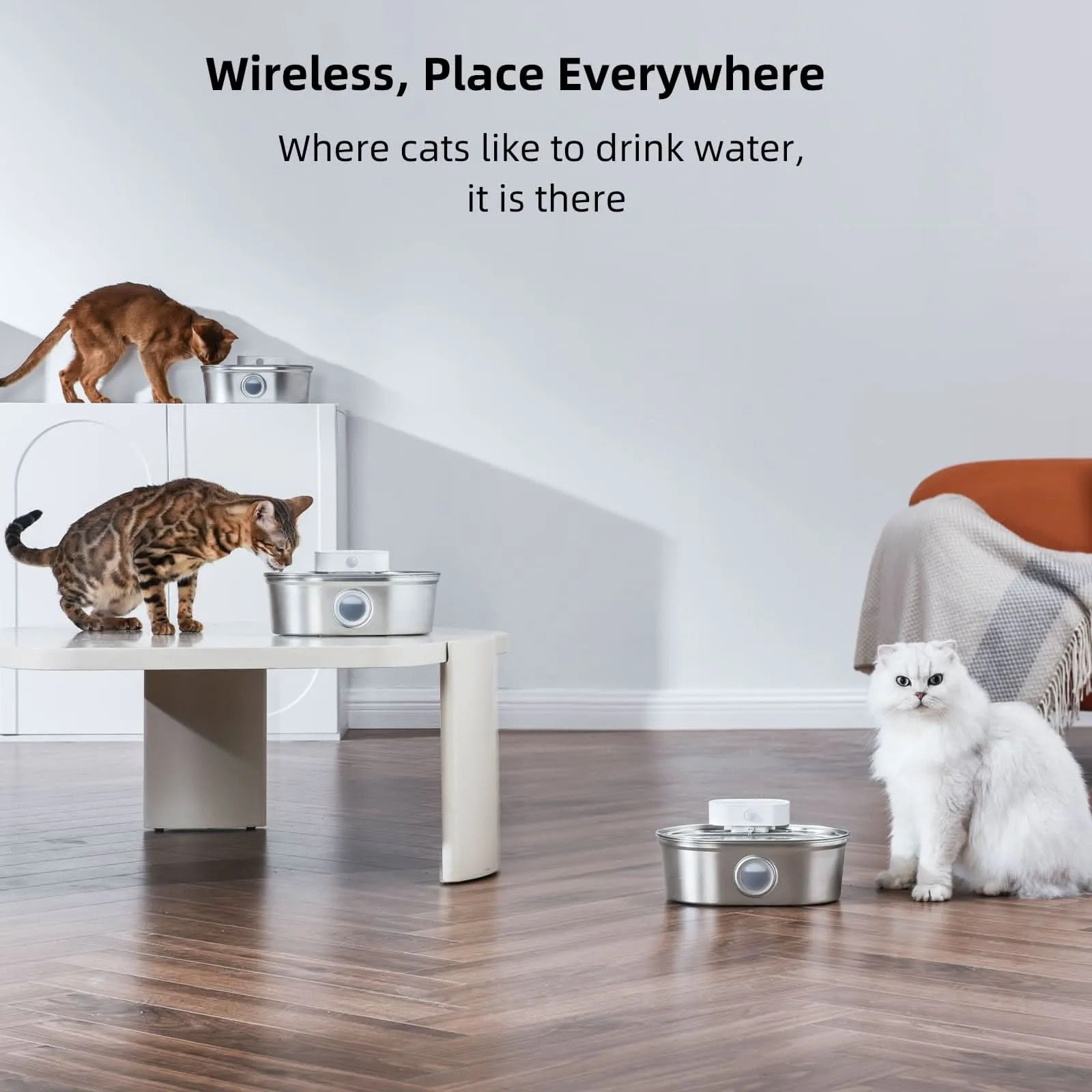 Ideal cat feeding combination (water fountain   Elevated Cat Bowls)