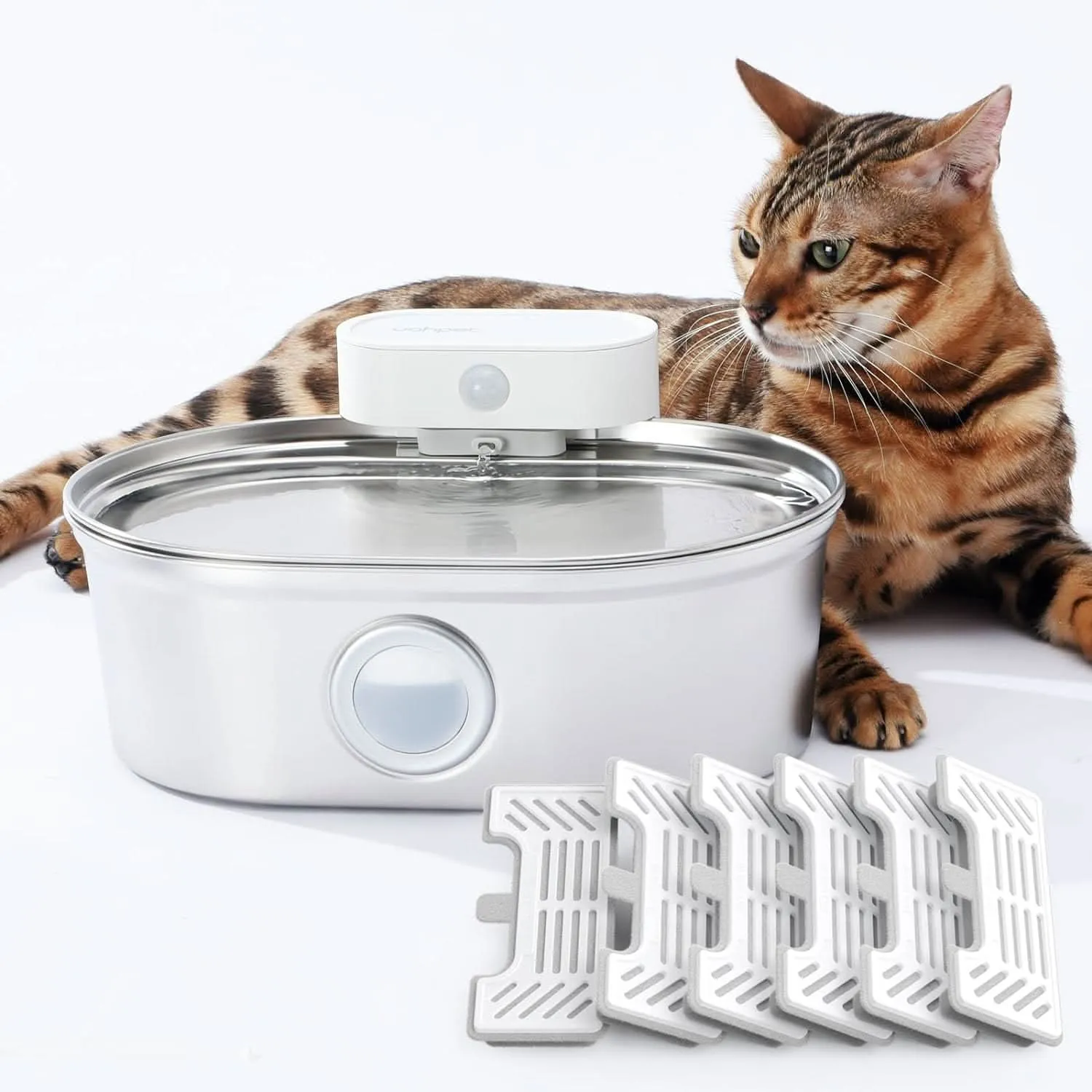 Ideal cat feeding combination (water fountain   Elevated Cat Bowls)