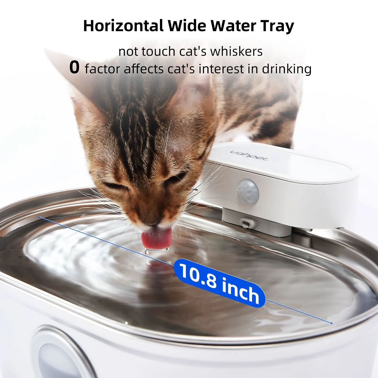 Ideal cat feeding combination (water fountain   Elevated Cat Bowls)