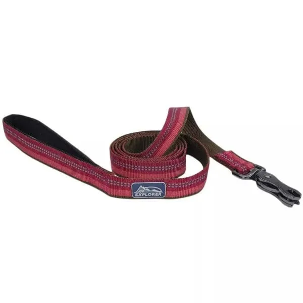 K9 Explorer Reflective Dog Leash with Scissor Snap