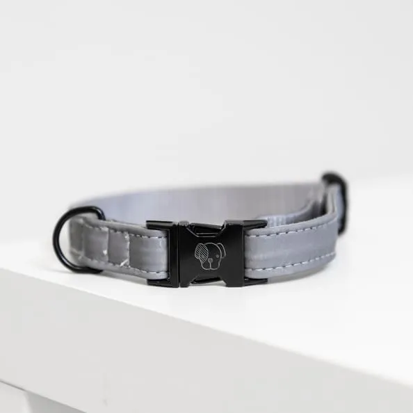 Kentucky Dog Collar Reflective