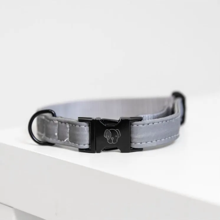 Kentucky Dog Collar Reflective