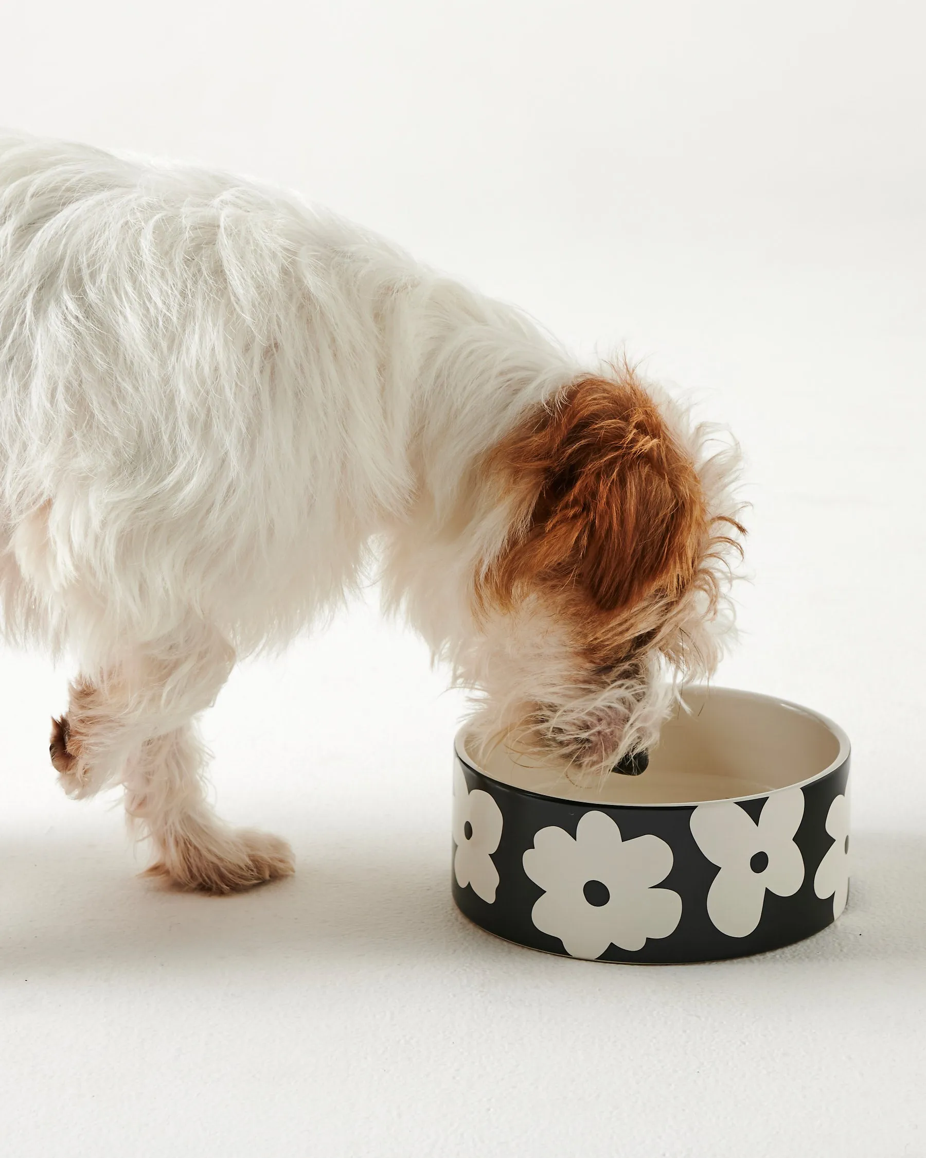 Kip & Co Flower Face Dog Bowl