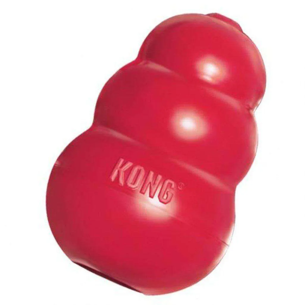 KONG Classic Red Dog Toy
