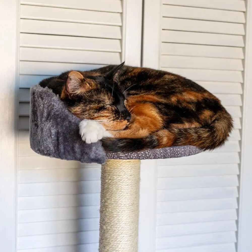 Large Cat Tree Tower Scratching Post Grey