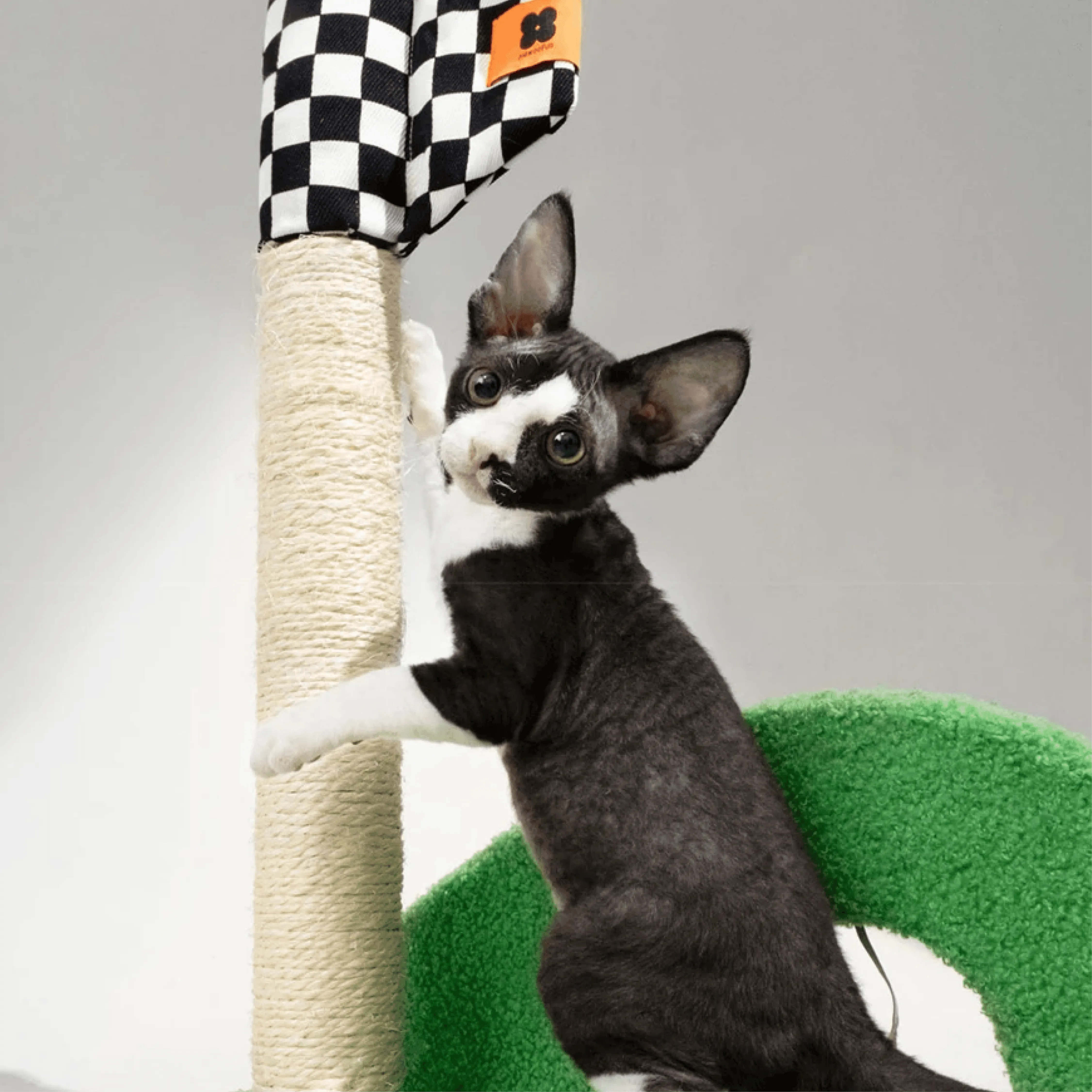 Mewoo - Scratch'n'Swing Cat Scratching Post