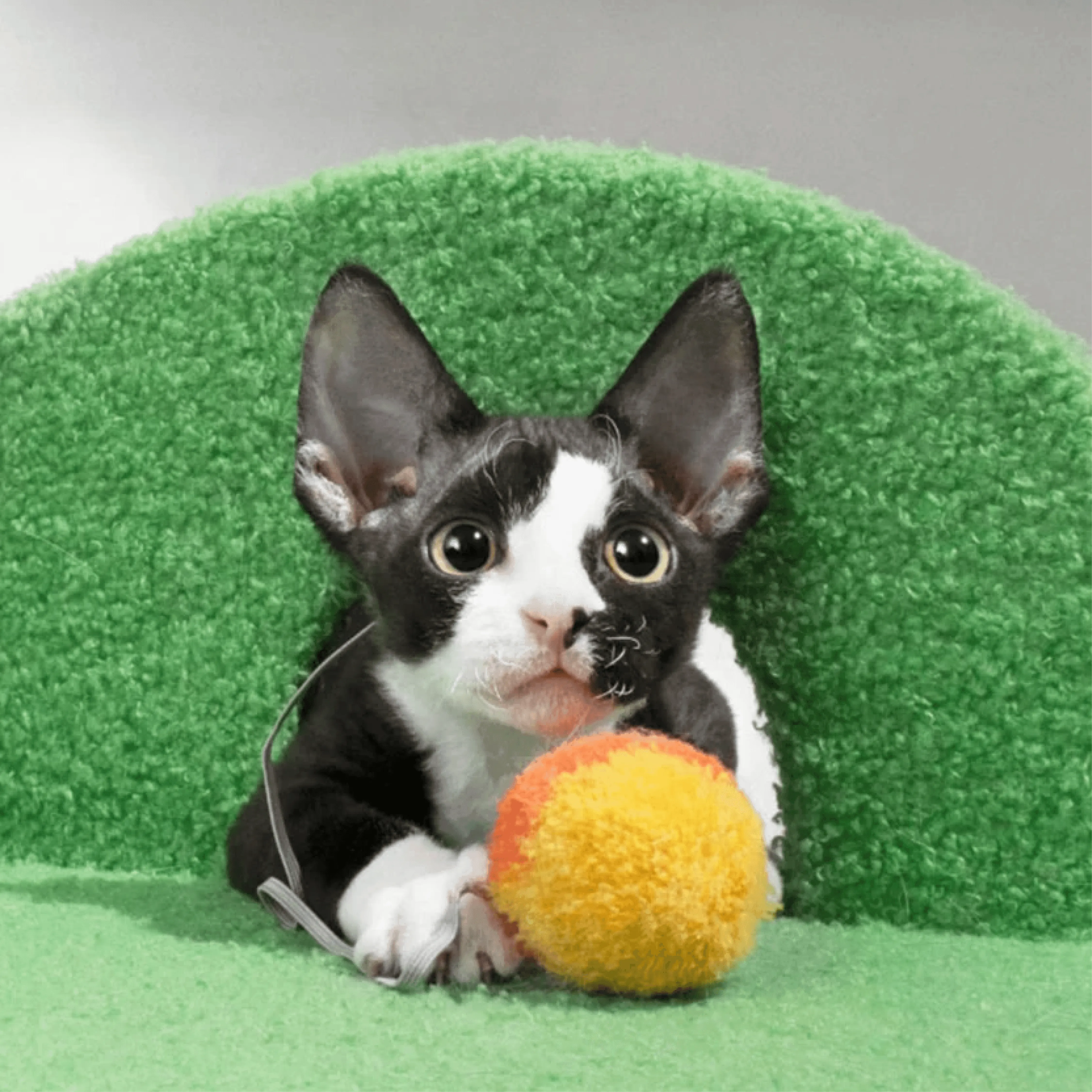 Mewoo - Scratch'n'Swing Cat Scratching Post