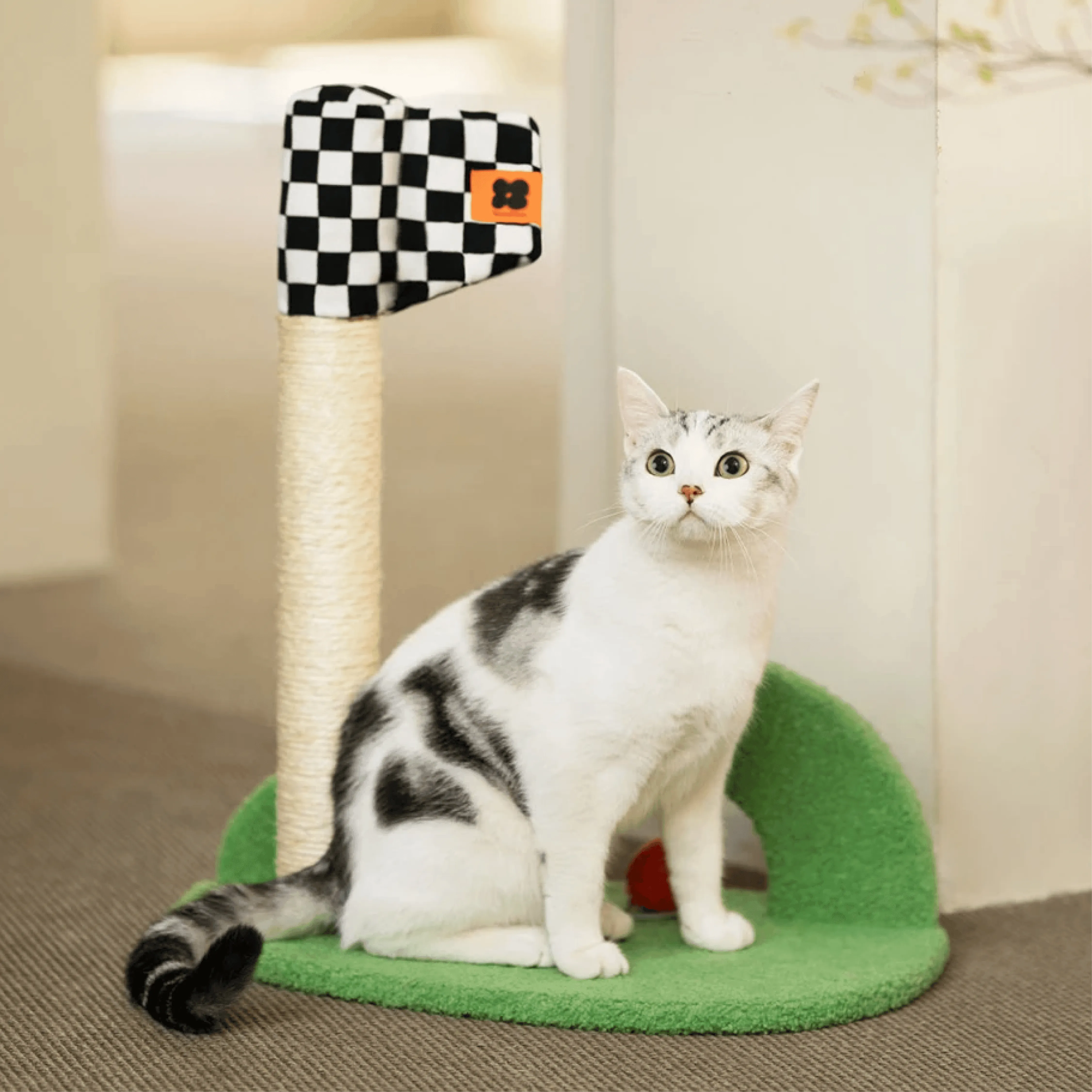 Mewoo - Scratch'n'Swing Cat Scratching Post