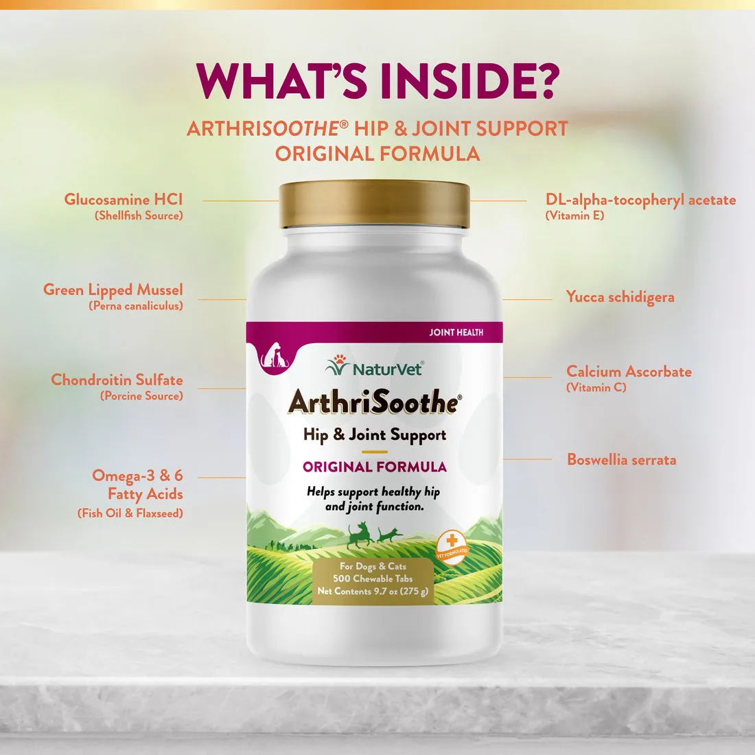 NaturVet Arthrisoothe Hip & Joint Formula Tablets for Cogs and Cats 250pcs