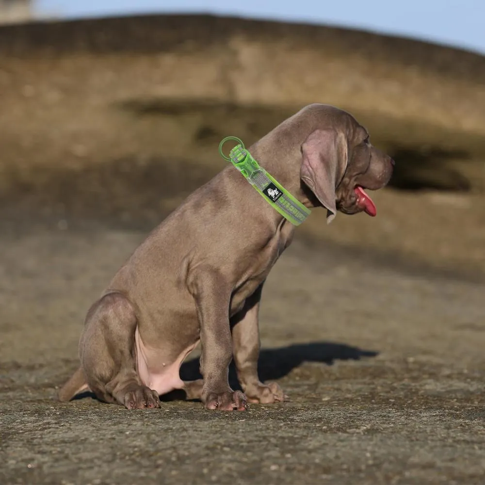 Neoprene Padded Waterproof Collar