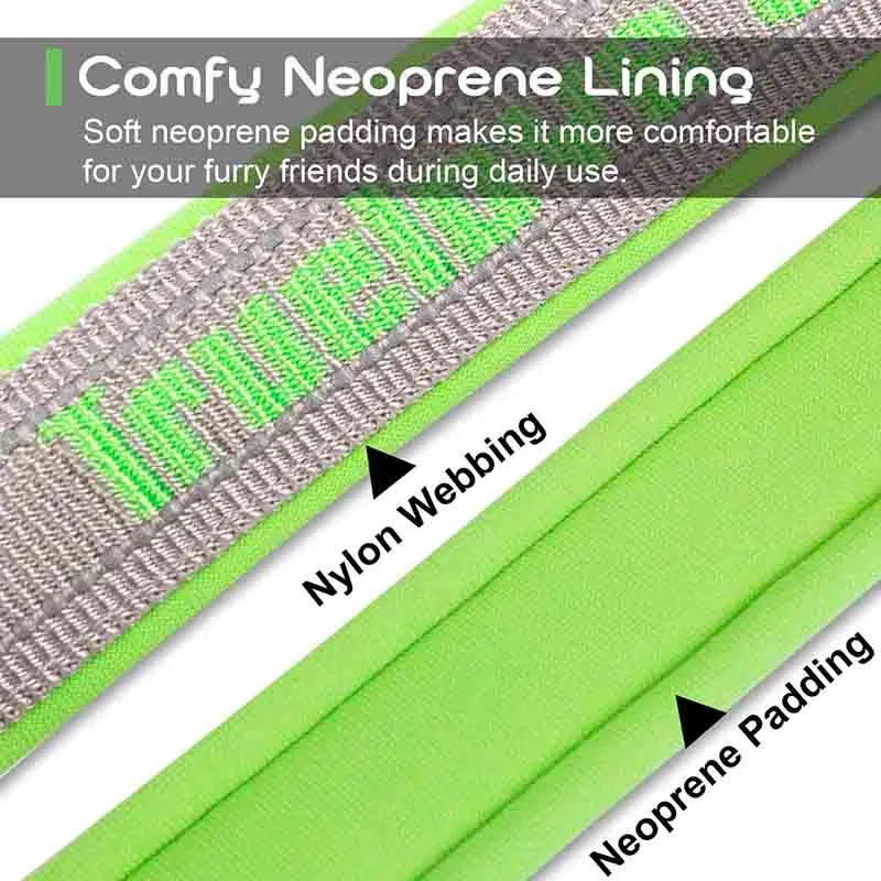 Neoprene Padded Waterproof Collar
