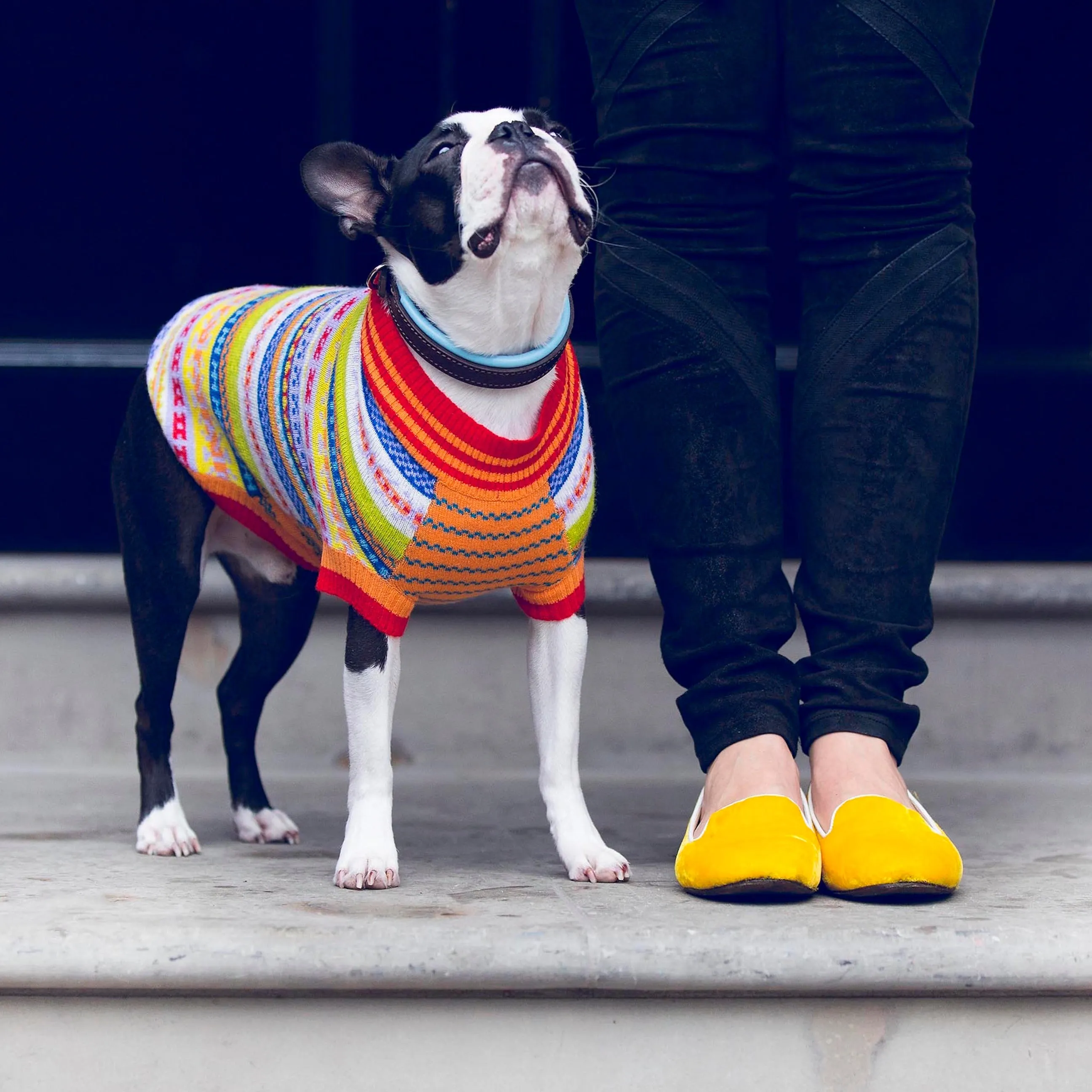 Peruvian Dog Sweater