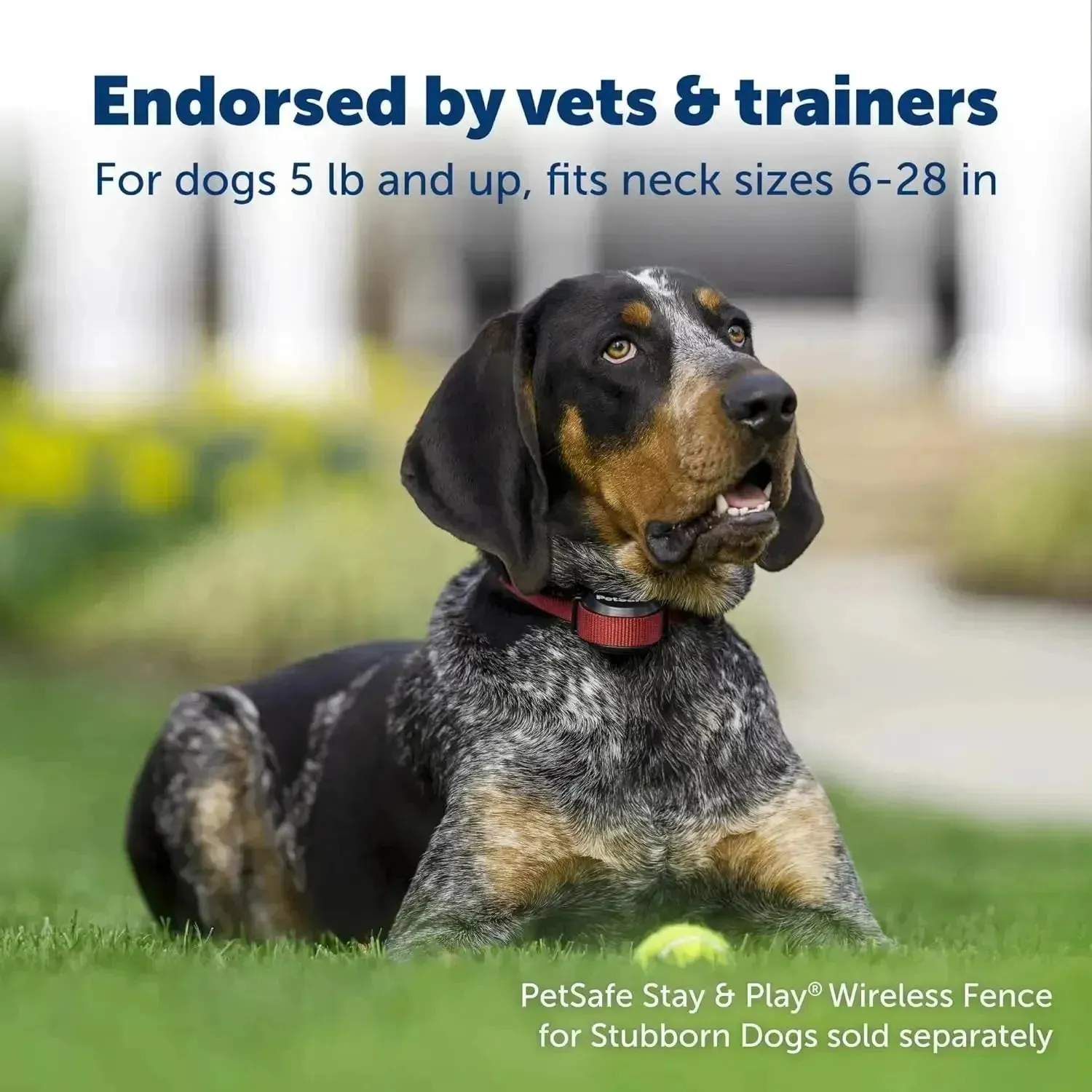 PetSafe Stay & Play Wireless Dog Collar, Rechargeable, Waterproof