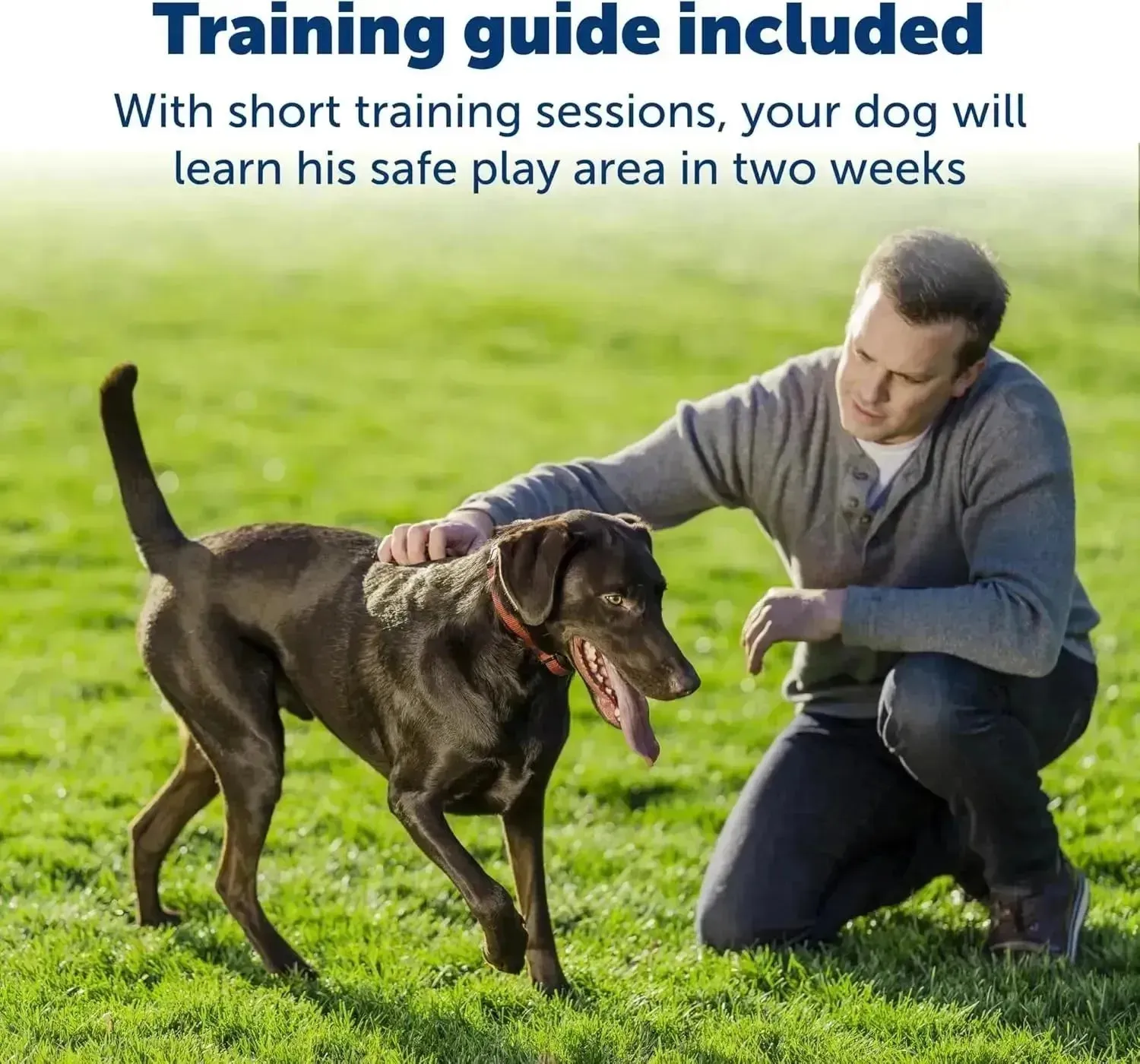 PetSafe Stay & Play Wireless Dog Collar, Rechargeable, Waterproof