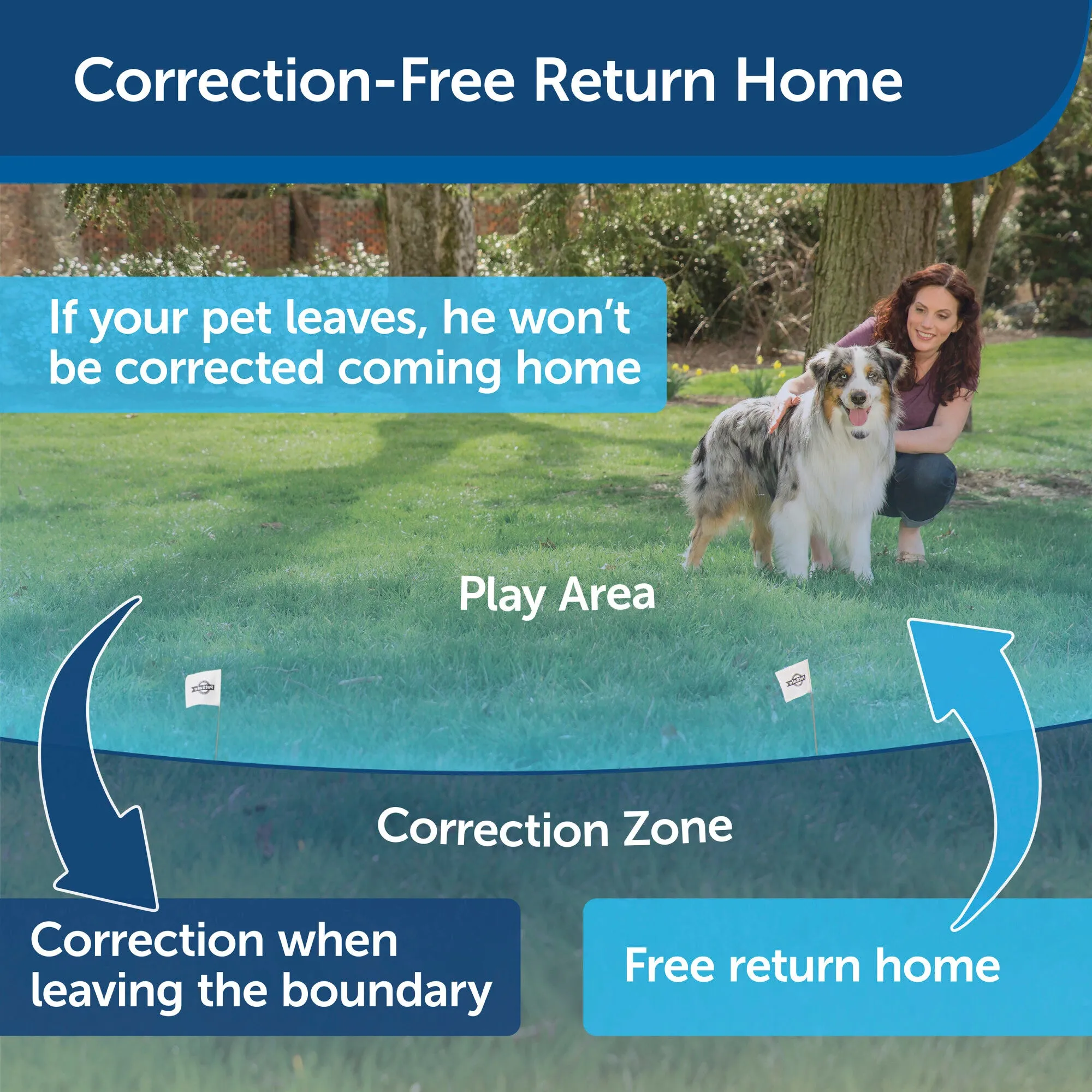 PetSafe Stay & Play Wireless Fence Rechargeable Receiver Collar