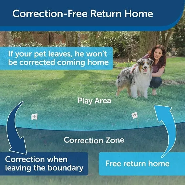 PetSafe Wireless Fence Extra Receiver Collar