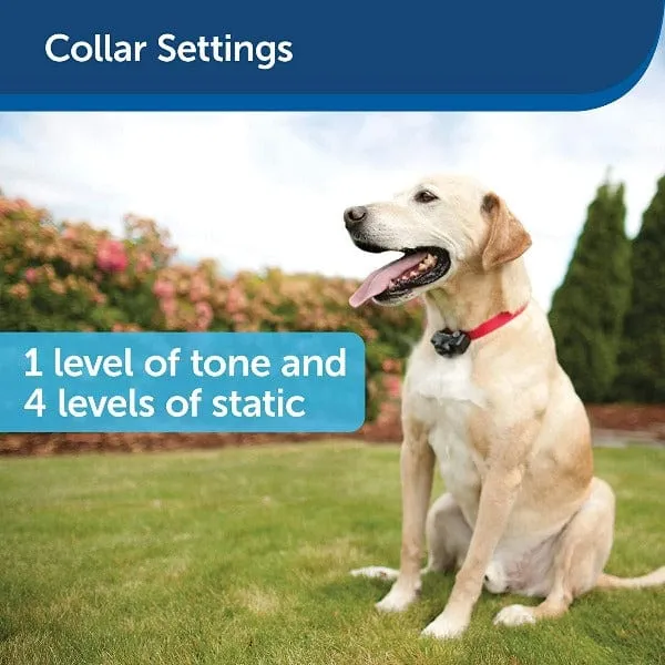 PetSafe Wireless Fence Extra Receiver Collar