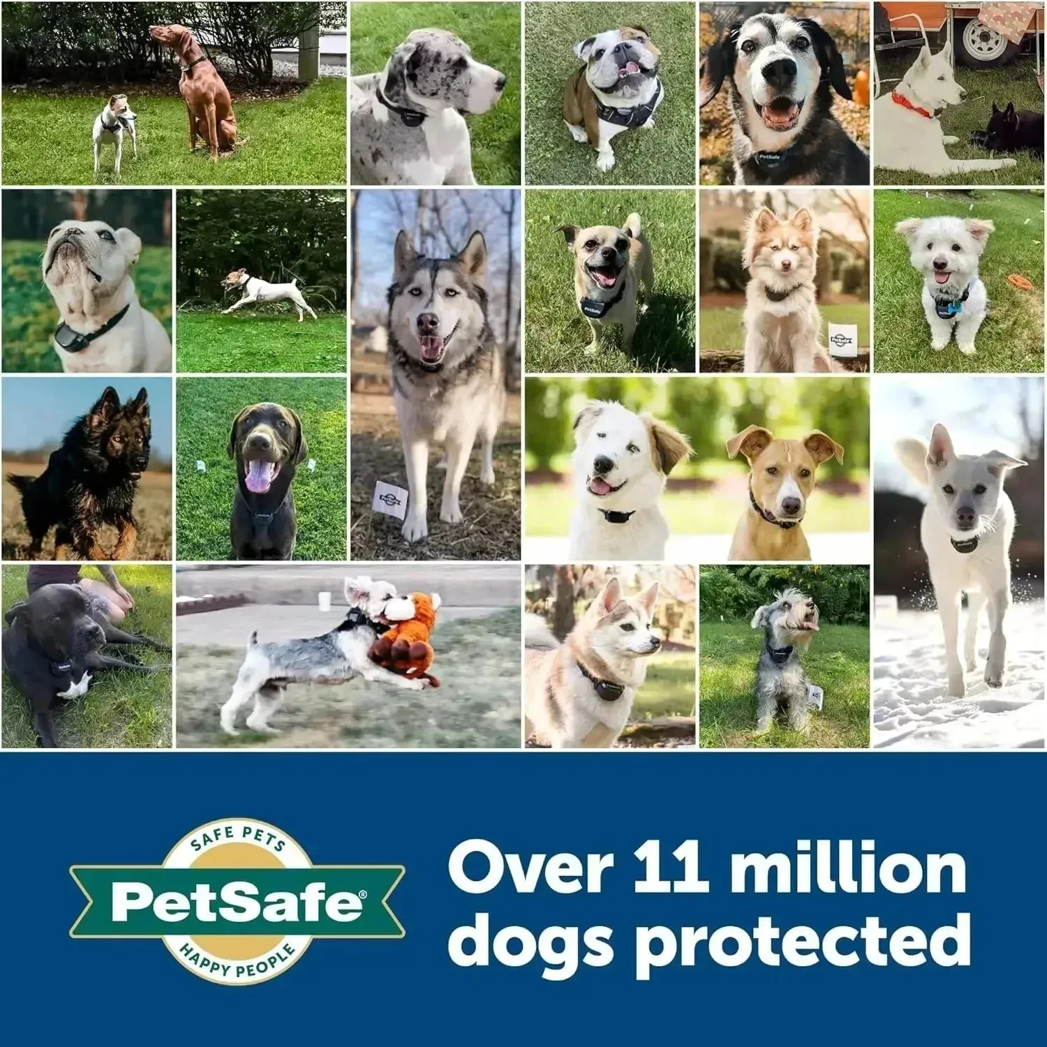 PetSafe Wireless Fence with Extra Battery Pack