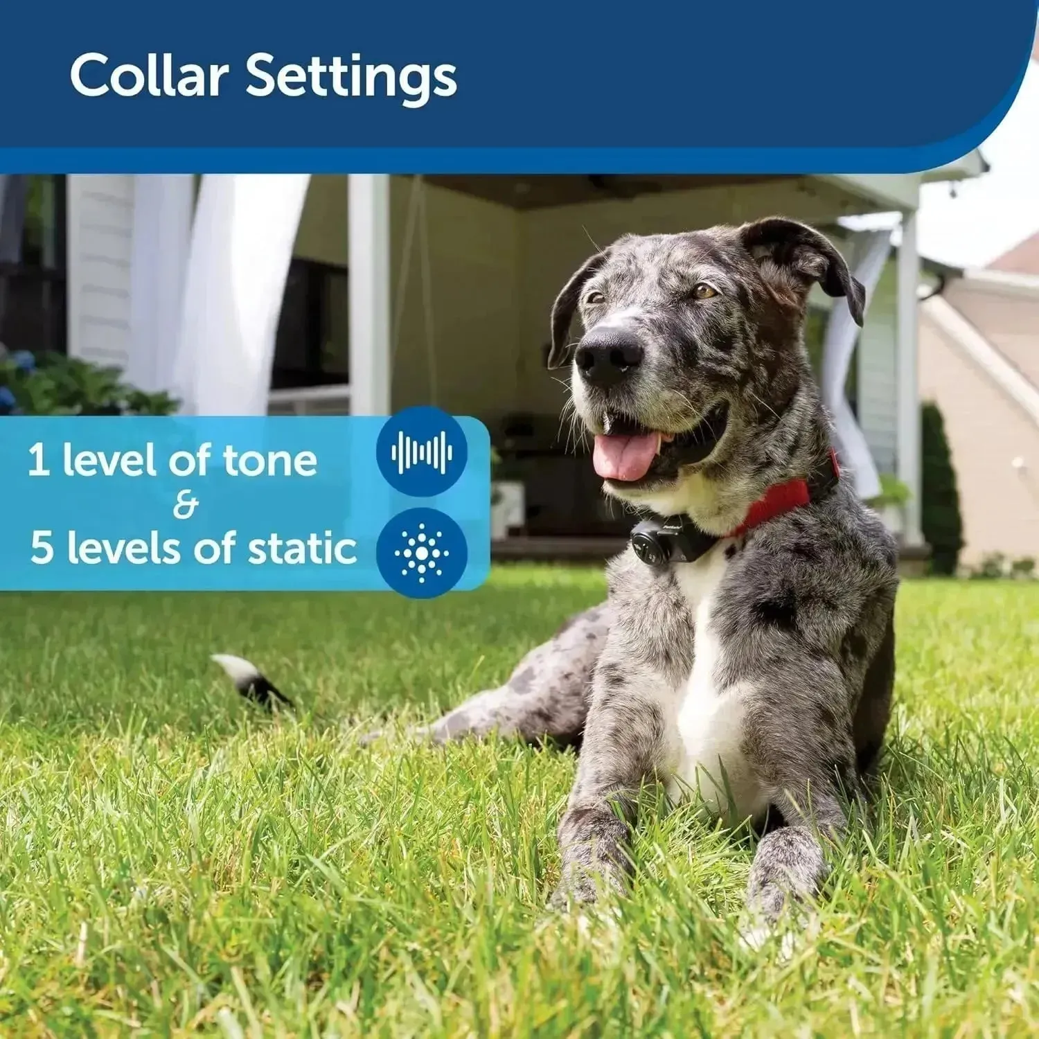 PetSafe Wireless Fence with Extra Battery Pack