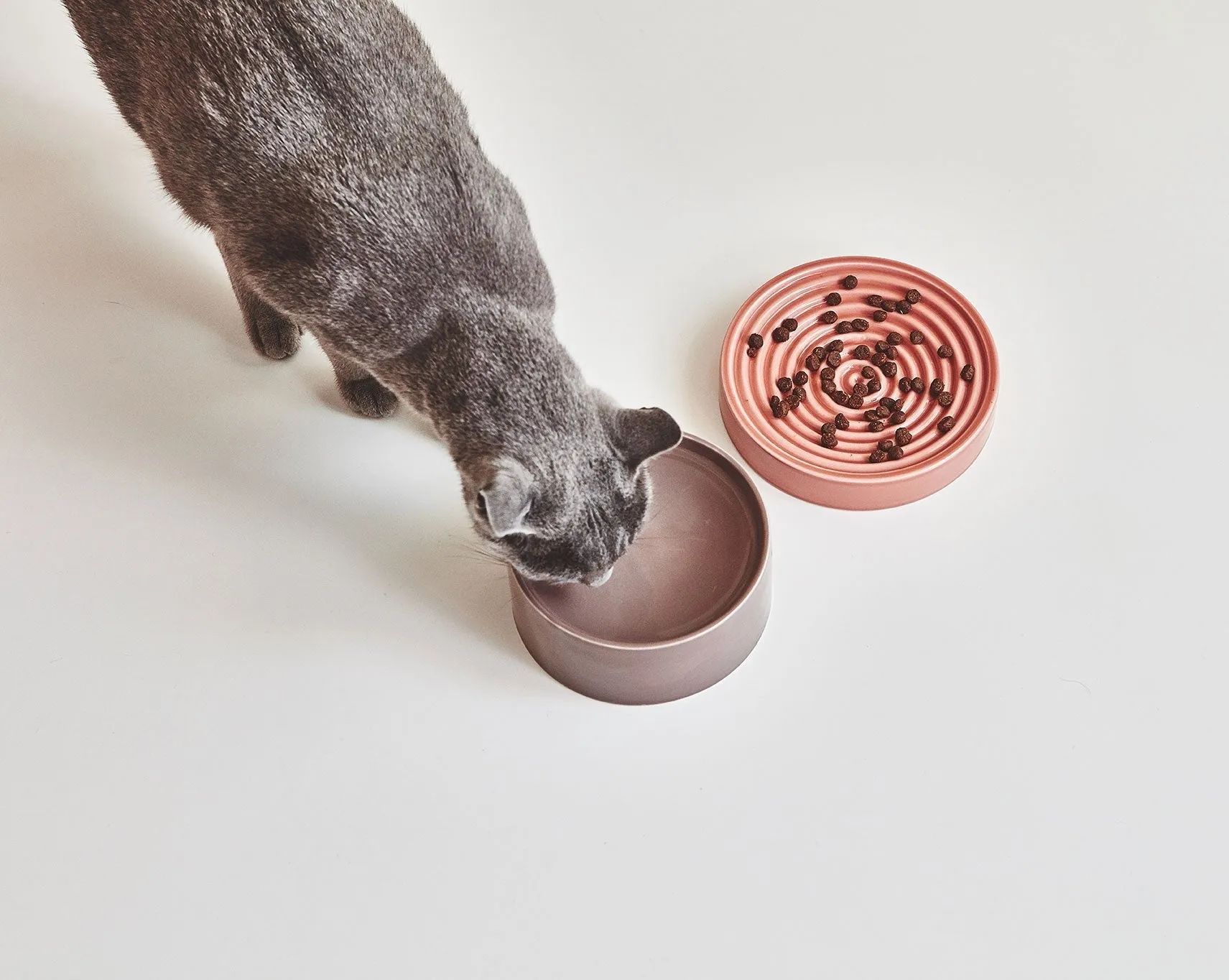 Piatto Porcelain Cat Bowl