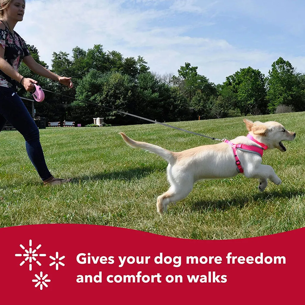 Power Walker Retractable Leash
