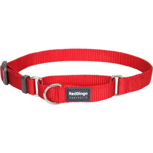 Red Dingo Classic Martingale Dog Collar 20mm