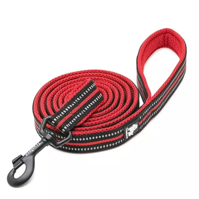 Reflective Dog Lead