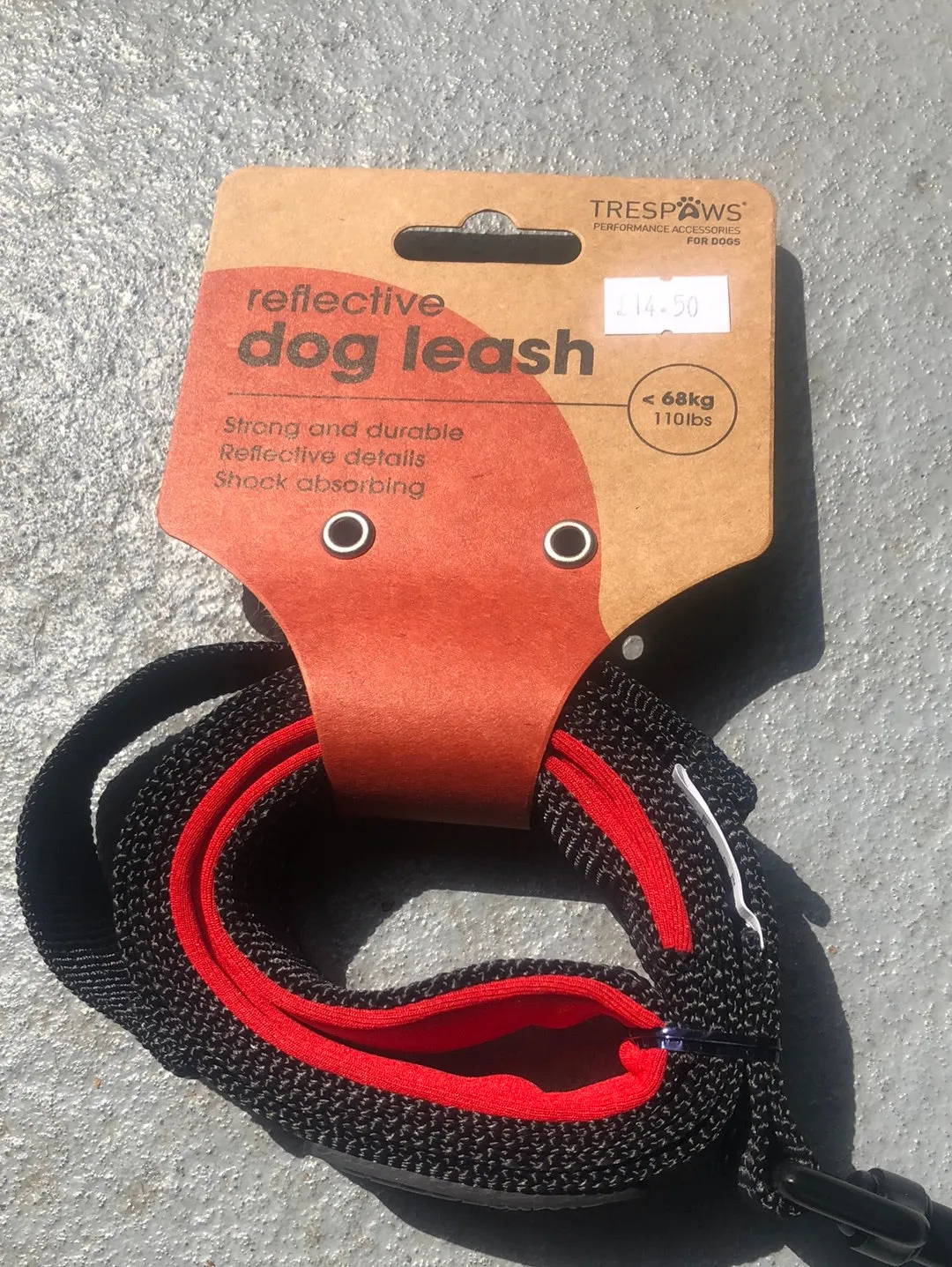 Reflective dog leash
