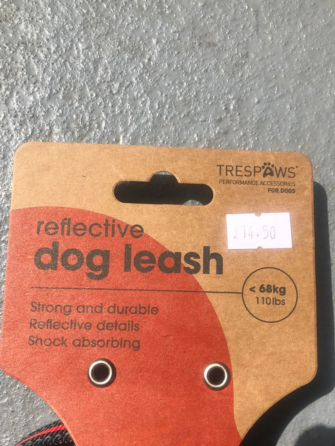 Reflective dog leash
