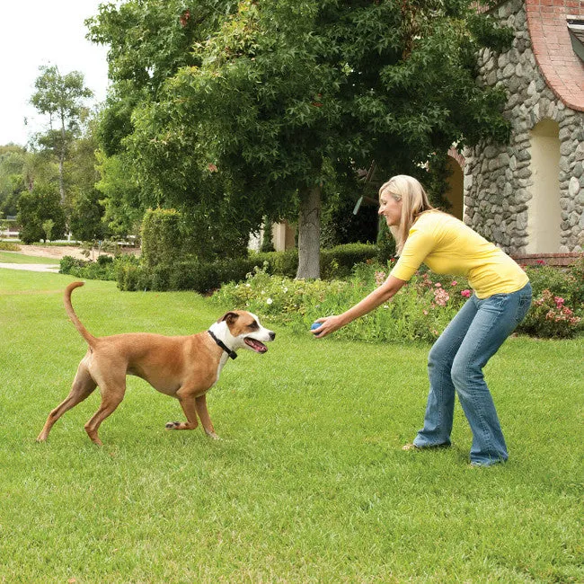 Stay & Play® Wireless Fence System