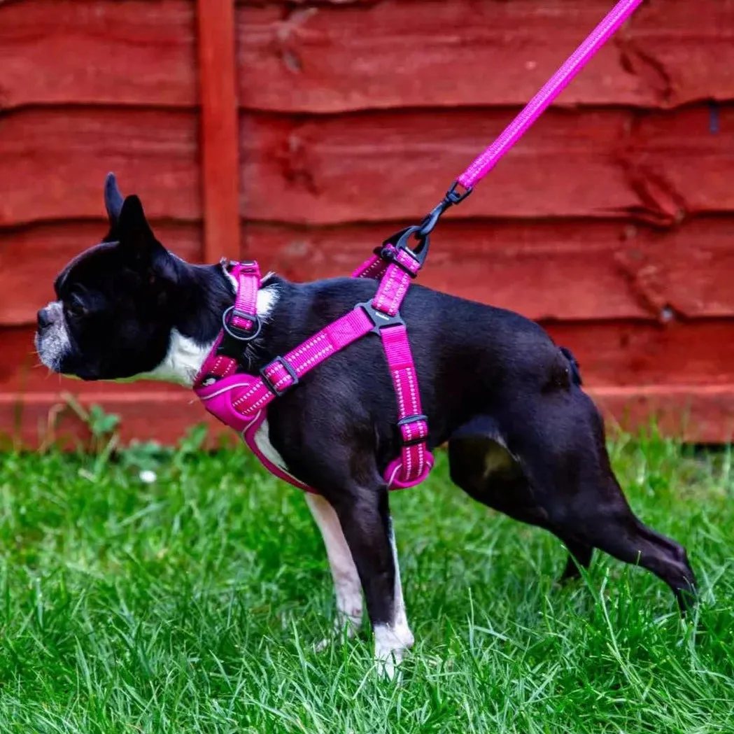 Step In Dog Harness