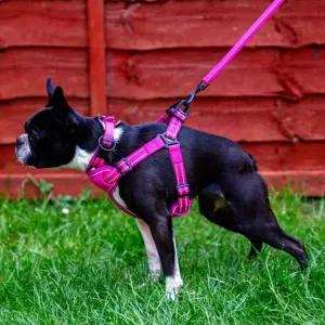 Step In Dog Harness