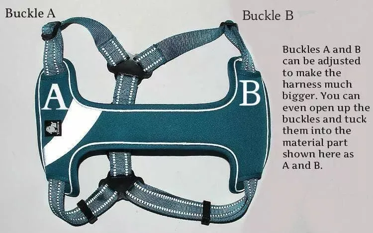 Step In Dog Harness