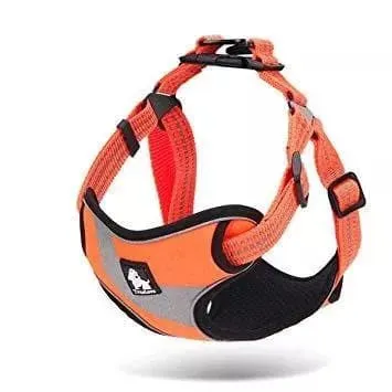 Step In Dog Harness