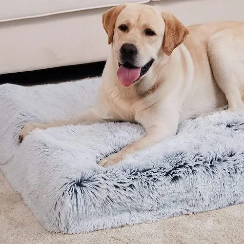 Ultimate Comfort Calming Dog Bed
