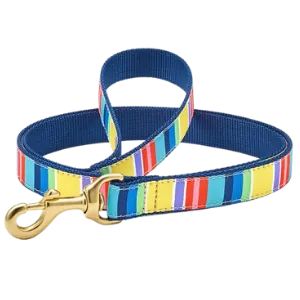 Up Country Colorful Stripe Dog Lead