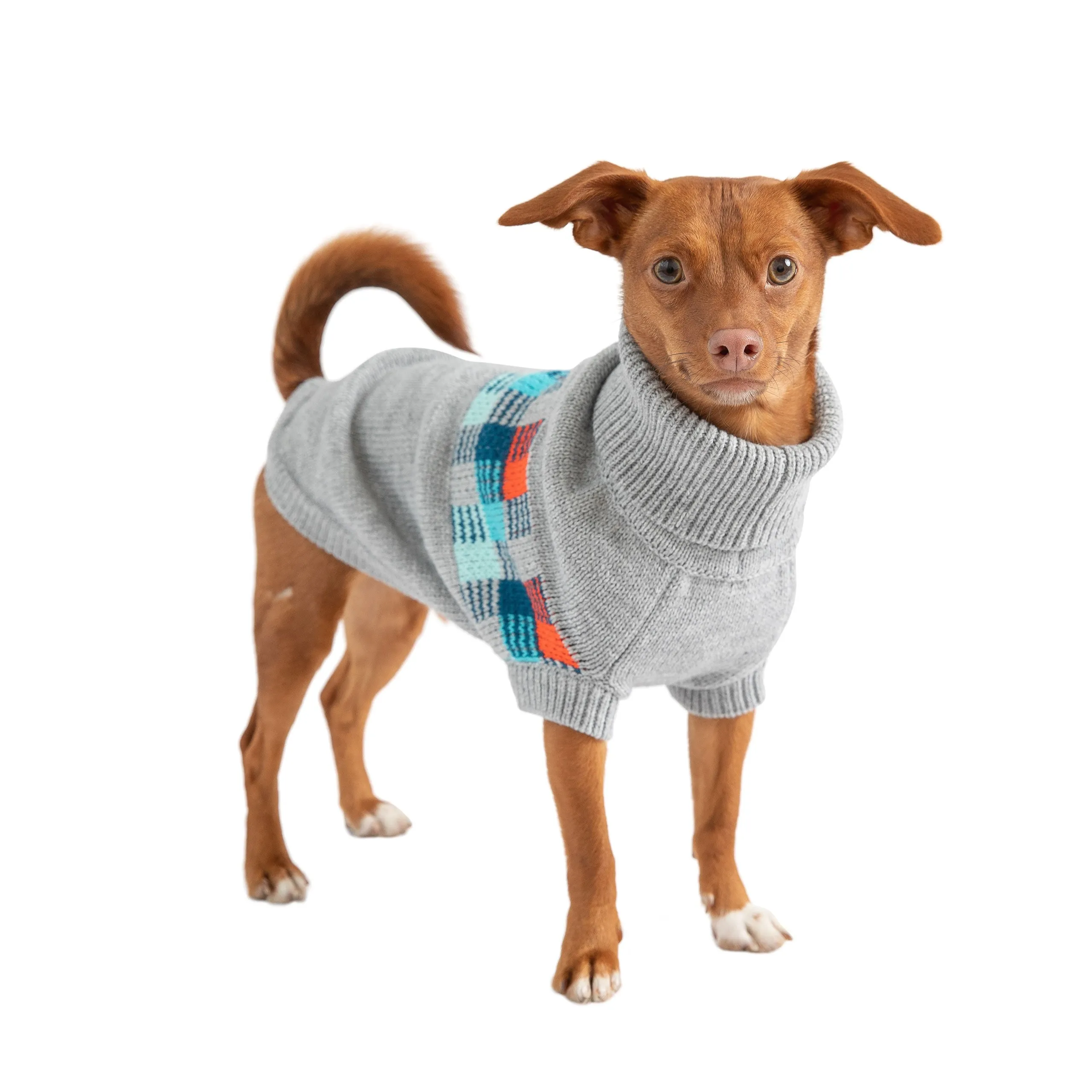 Winter Sailor Sweater | PetPals®