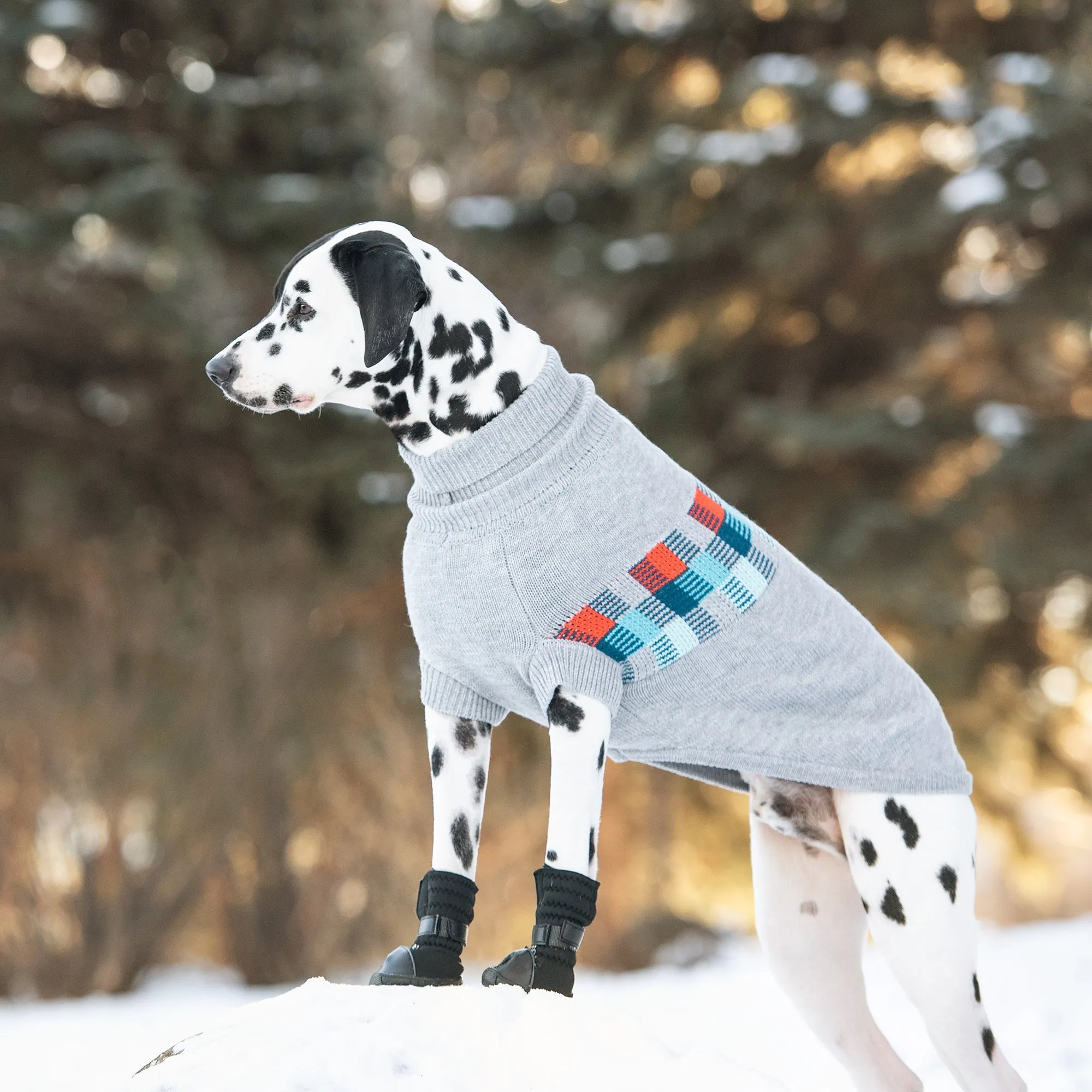 Winter Sailor Sweater | PetPals®